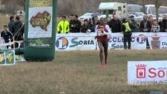 Cross de Soria