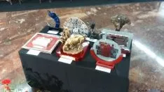 Entrega premios taurinos