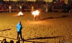 El Toro Jubilo iluminó la noche de Medinaceli