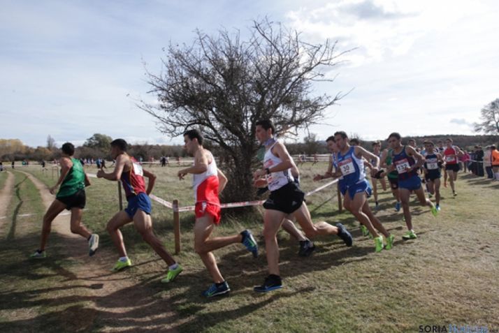 Cross de Soria