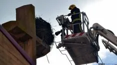 Retirada del nido de cigüeñas. / SN
