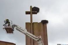 Retirada del nido de cigüeñas. / SN