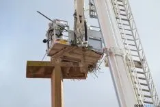 Retirada del nido de cigüeñas. / SN