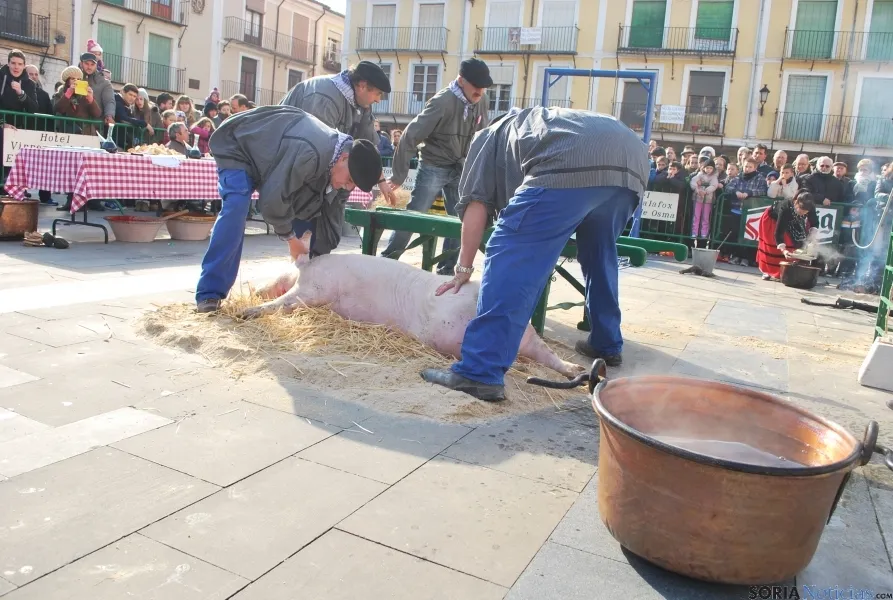 Una de las escenas del sacrificio del cerdo. / SN