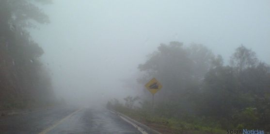 Niebla y carretera
