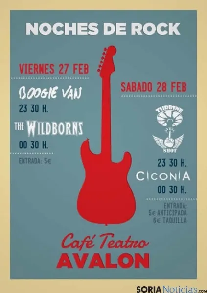 Cartel del concierto
