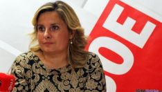 Esther Pérez, procuradora socialista /SN
