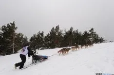 La abundante nieve dificultó el avance de los trineos