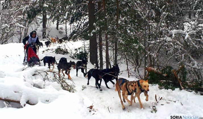 Una bella estampa de la edición 2014. / SU