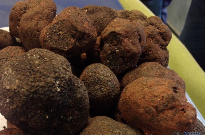 Trufas