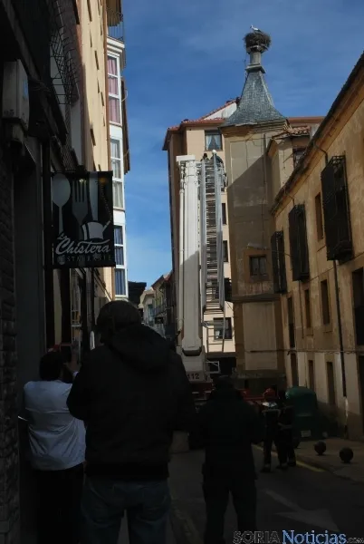 Labores de retirada del nido. / SN 