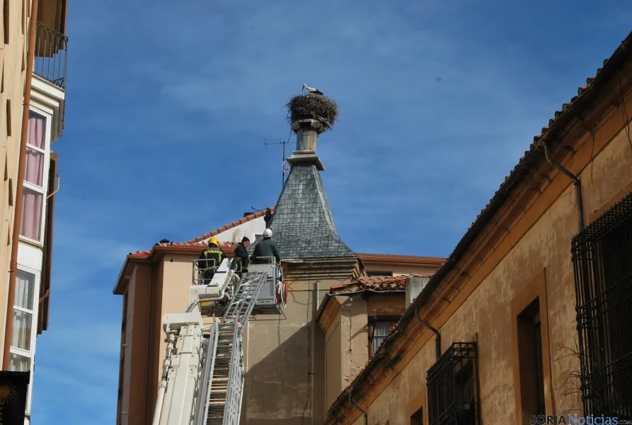 Labores de retirada del nido. / SN 