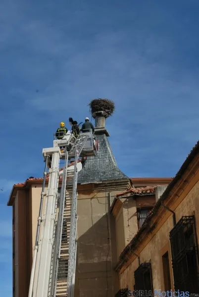 Labores de retirada del nido. / SN 