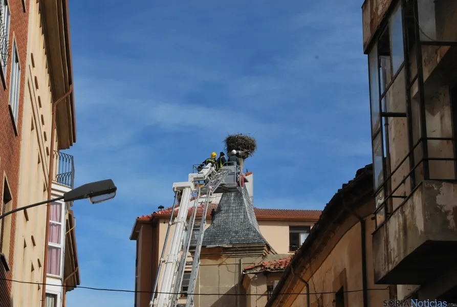 Labores de retirada del nido. / SN 