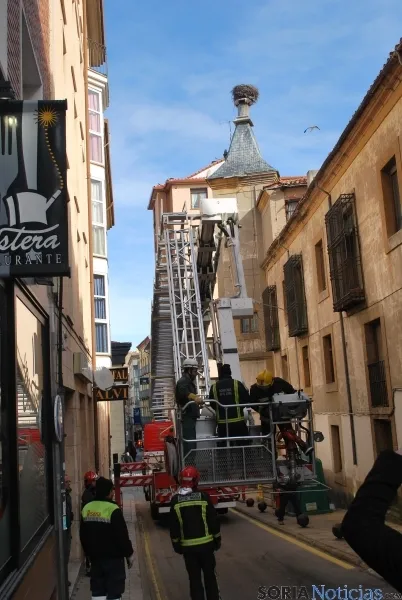 Labores de retirada del nido. / SN 