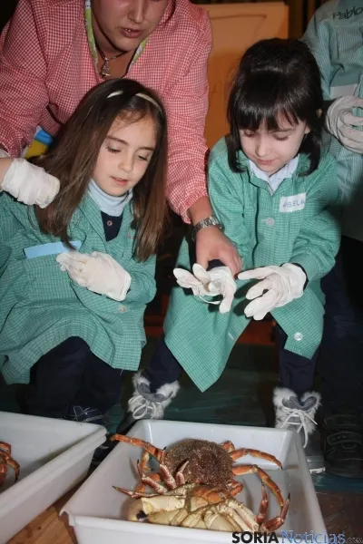 Los niños, en su experiencia con el pescado.
