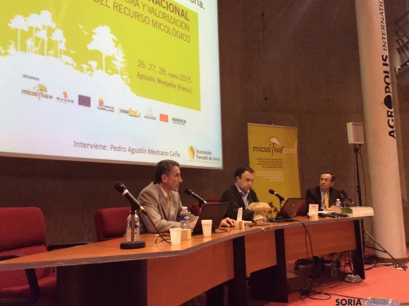 Diversos momentos de la presencia soriana en Montpellier. 