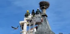 Los bomberos y un agente medioambiental en las labores. / SN