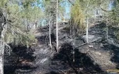 Imagen del incendio en Muriel Viejo, el primero reseñable este 2015. / SN