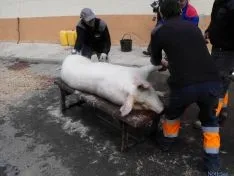 La jornada, multitudinaria, ha contado con diversas actividades.