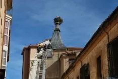 Labores de retirada del nido. / SN 