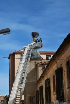Labores de retirada del nido. / SN 