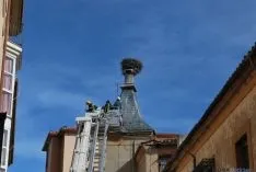 Labores de retirada del nido. / SN 