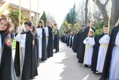 Imagen de la procesión tras bendecir las palmas. / SN