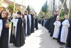 Imagen de la procesión tras bendecir las palmas. / SN
