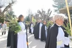 Imagen de la procesión tras bendecir las palmas. / SN