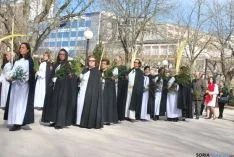 Imagen de la procesión tras bendecir las palmas. / SN
