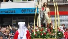 Una imagen de la multitudinaria procesión de la 'Borriquilla'. / SN