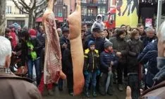 Puercoterapia en Soria