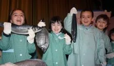 Los niños se divierten con el pescado. 