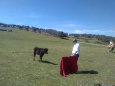 Foto 3 - Los taurinos sorianos visitan la ganadería Los Eulogios