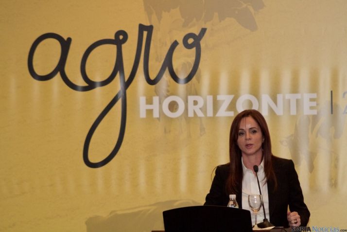 La consejera Silvia Clemente. Jta