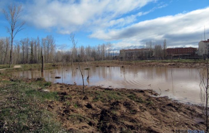 El PSOE de Almazán denuncia la aparición de una nueva charca en la ribera del Duero