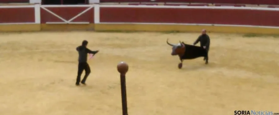 Alumnos del San José celebrando el Viernes de Toros
