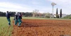 Labores de Huertos de Soria en Fuentepinilla.