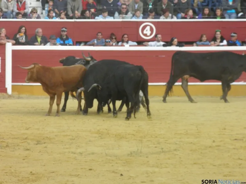 Desencajonamiento 2015