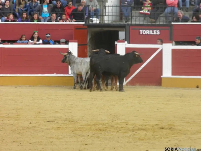Desencajonamiento 2015