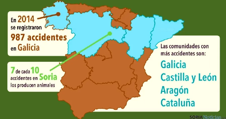 Soria, en el mapa por la alta siniestralidad de animales salvajes en las calzadas. 