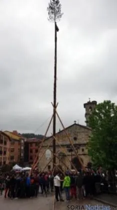 Pingada del pino mayo en San Leonardo