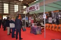 Foto 3 - Soria es la provincia n&uacute;mero uno de corzo en Espa&ntilde;a y la dos de ciervo en Castilla y Le&oacute;n