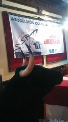 Asociación Cultural y Taurina Soriana de Encierros