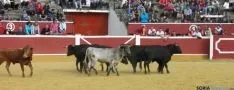 Desencajonamiento 2015
