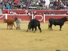 Desencajonamiento 2015