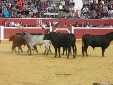 Desencajonamiento 2015