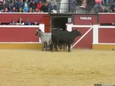 Desencajonamiento 2015