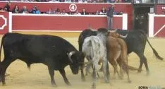 Desencajonamiento 2015